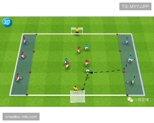 通讯：阳光双赛背后的庞大保障团队——从场地维护到球员服务